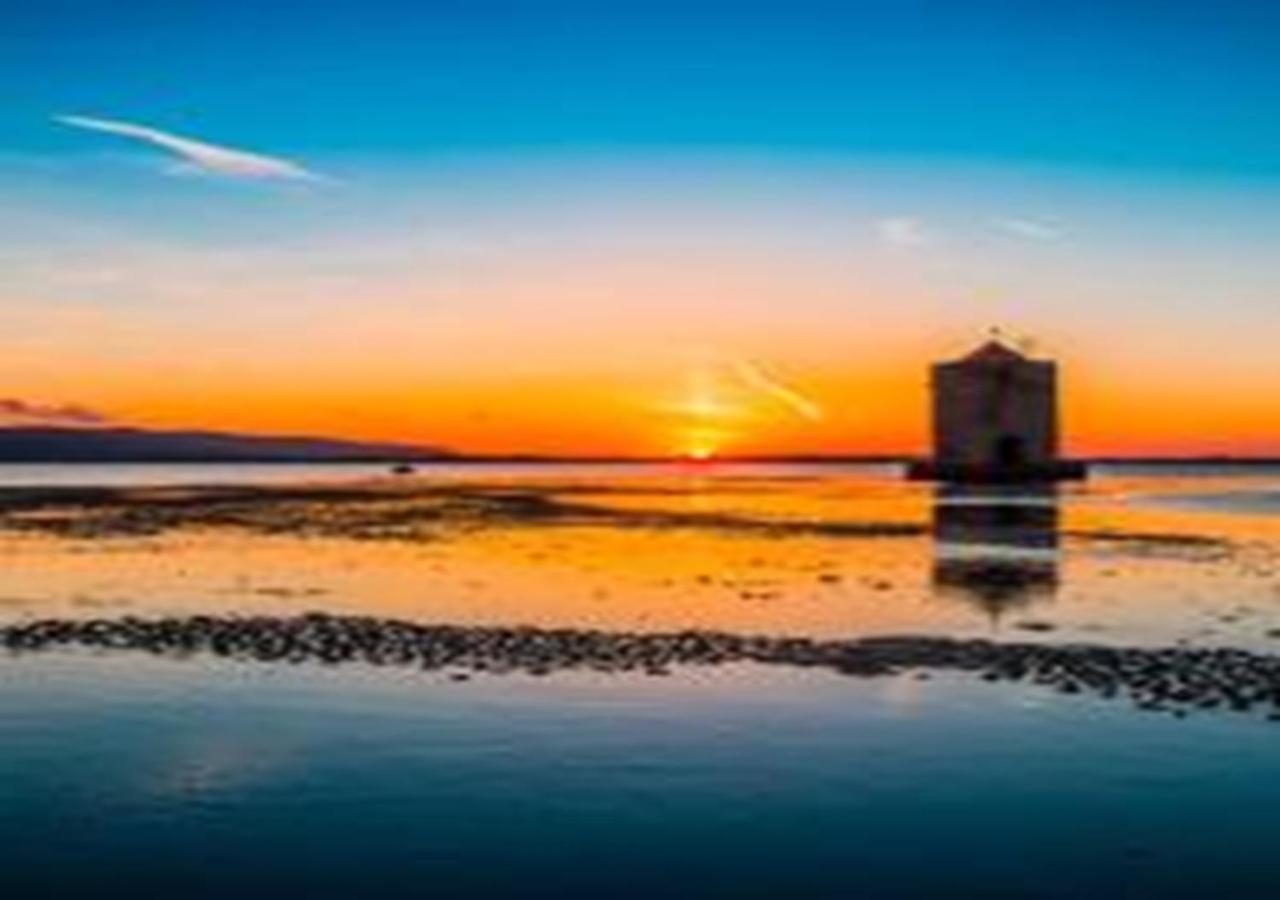 App - Il Fenicottero Con Parcheggio Gratuito Ad Orbetello Villa Eksteriør billede