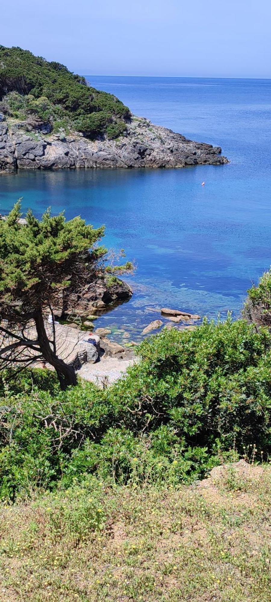 App - Il Fenicottero Con Parcheggio Gratuito Ad Orbetello Villa Eksteriør billede